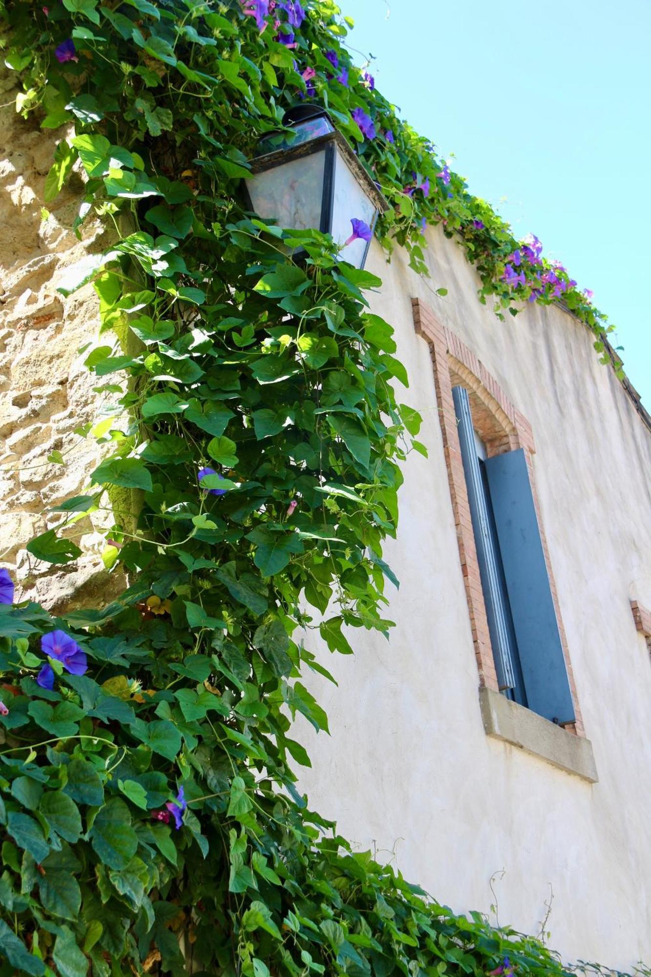 Villa La Cite Secrete Carcassonne Esterno foto